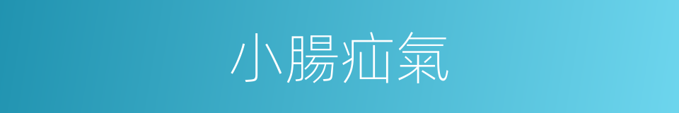 小腸疝氣的意思