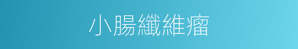 小腸纖維瘤的同義詞