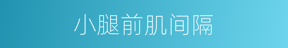 小腿前肌间隔的同义词