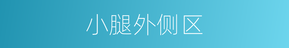 小腿外侧区的同义词