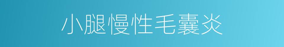 小腿慢性毛囊炎的同义词
