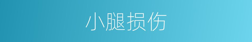 小腿损伤的同义词