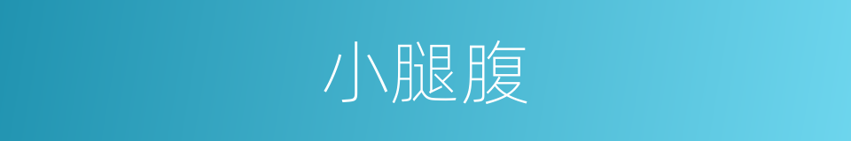 小腿腹的同义词