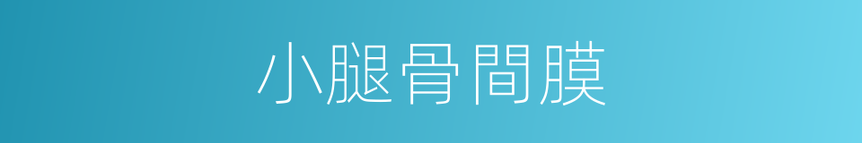 小腿骨間膜的同義詞