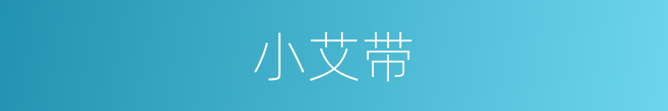 小艾带的同义词