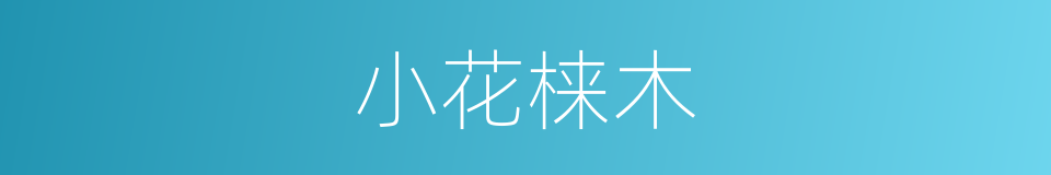 小花梾木的同义词