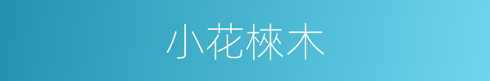 小花棶木的同義詞