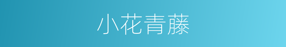 小花青藤的同义词