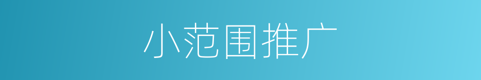 小范围推广的同义词