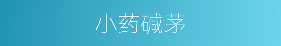 小药碱茅的同义词