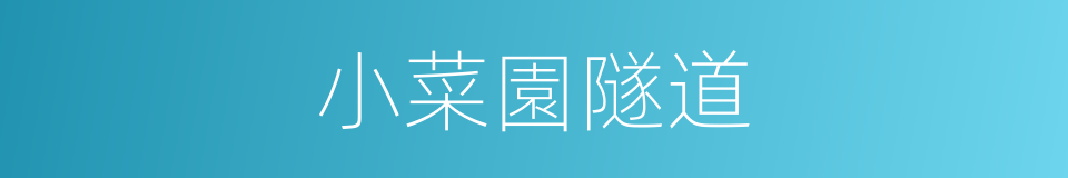 小菜園隧道的同義詞