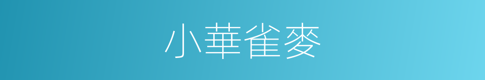 小華雀麥的同義詞