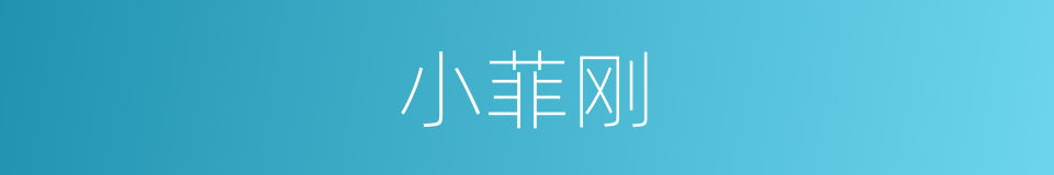 小菲刚的同义词