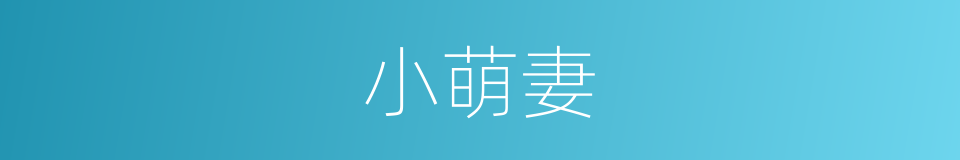 小萌妻的同义词