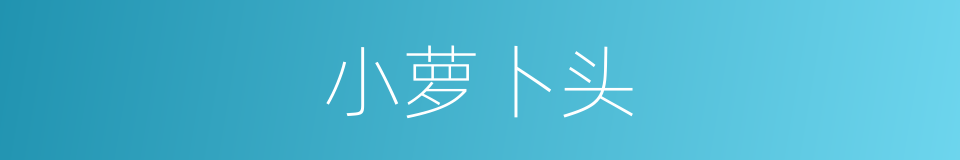 小萝卜头的意思