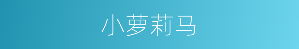 小萝莉马的同义词