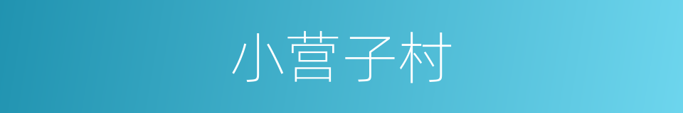 小营子村的同义词
