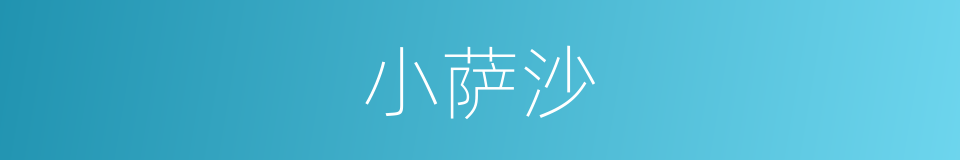 小萨沙的同义词