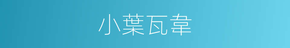 小葉瓦韋的同義詞