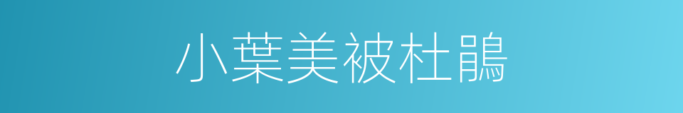 小葉美被杜鵑的同義詞