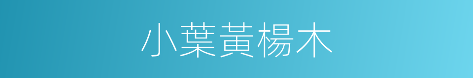 小葉黃楊木的同義詞