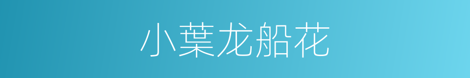 小葉龙船花的同義詞