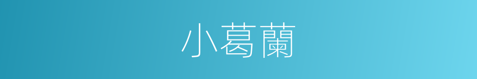 小葛蘭的同義詞