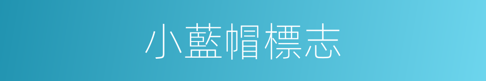 小藍帽標志的同義詞