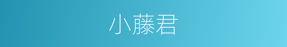 小藤君的同义词