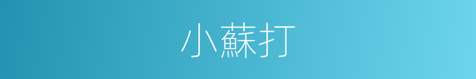 小蘇打的意思