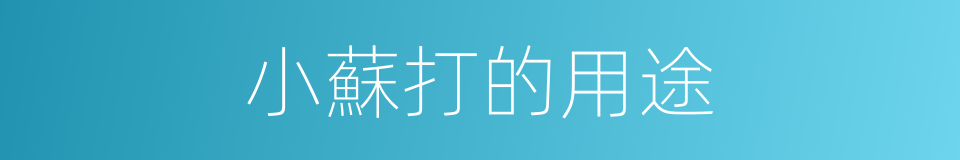 小蘇打的用途的同義詞