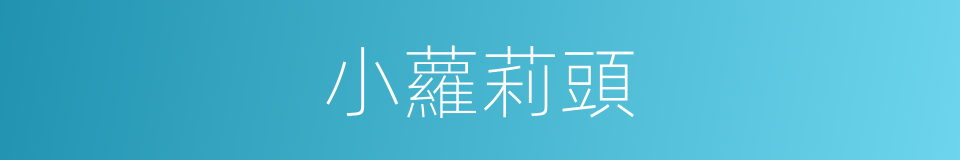 小蘿莉頭的同義詞