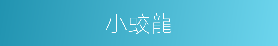小蛟龍的同義詞