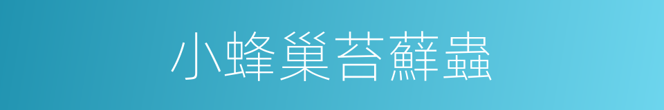 小蜂巢苔蘚蟲的同義詞