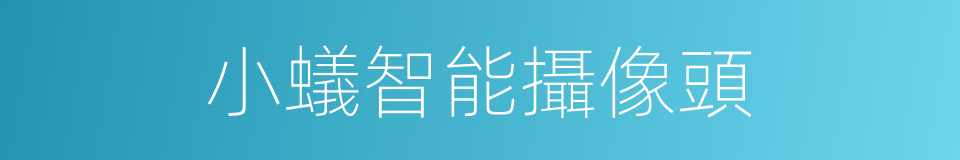 小蟻智能攝像頭的同義詞