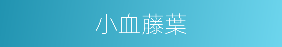 小血藤葉的同義詞