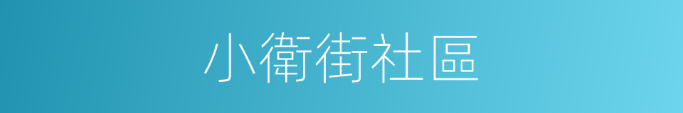 小衛街社區的同義詞