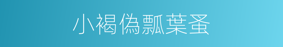 小褐偽瓢葉蚤的同義詞