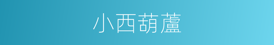 小西葫蘆的同義詞