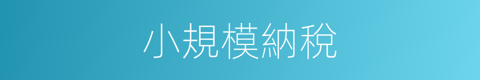 小規模納稅的同義詞