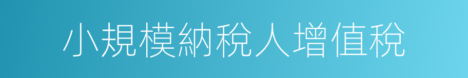 小規模納稅人增值稅的同義詞