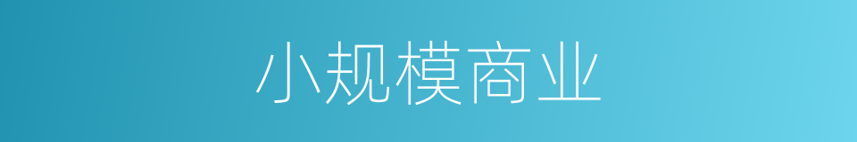 小规模商业的同义词