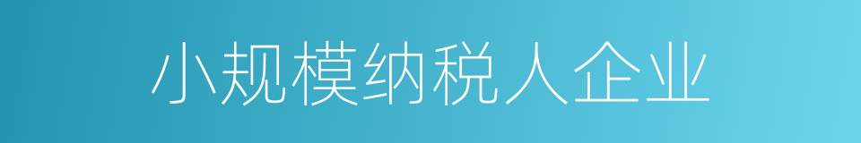 小规模纳税人企业的同义词