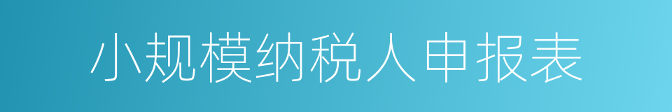 小规模纳税人申报表的同义词