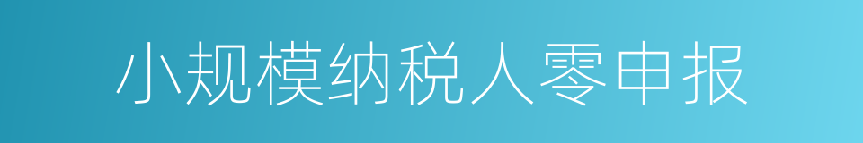 小规模纳税人零申报的同义词