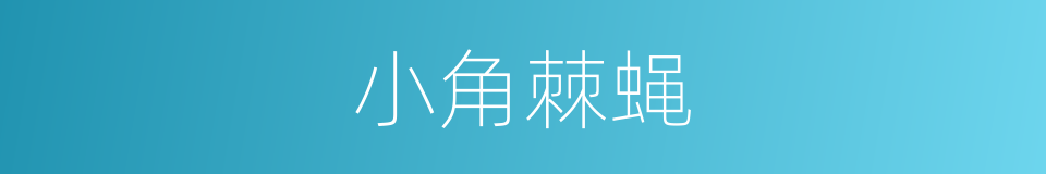 小角棘蝇的同义词