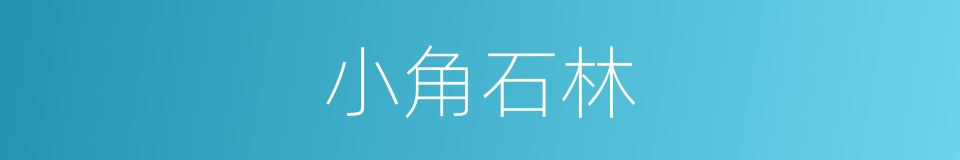 小角石林的同义词