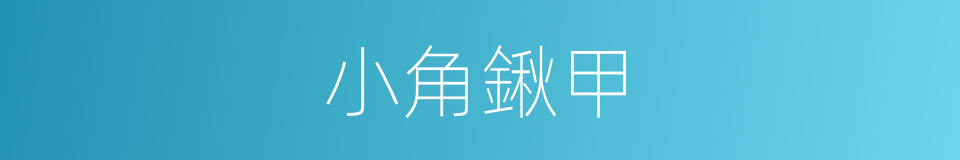 小角鍬甲的同義詞