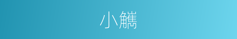 小觽的意思
