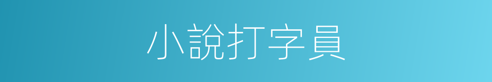 小說打字員的同義詞